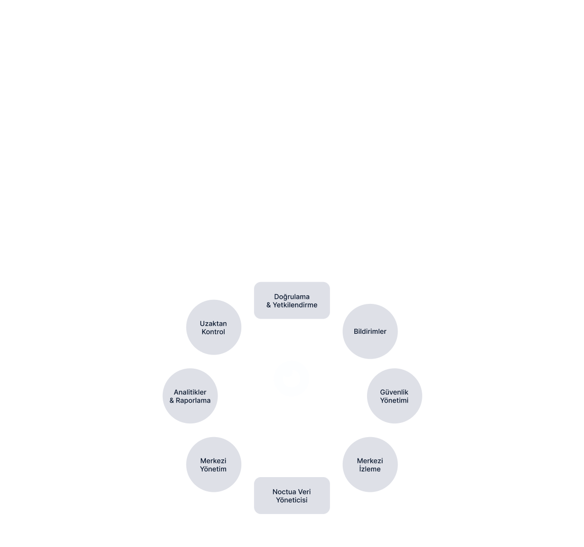 Noctua Sistem Mimarisi