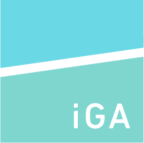 Genel Müdür Yardımcısı (IST System)