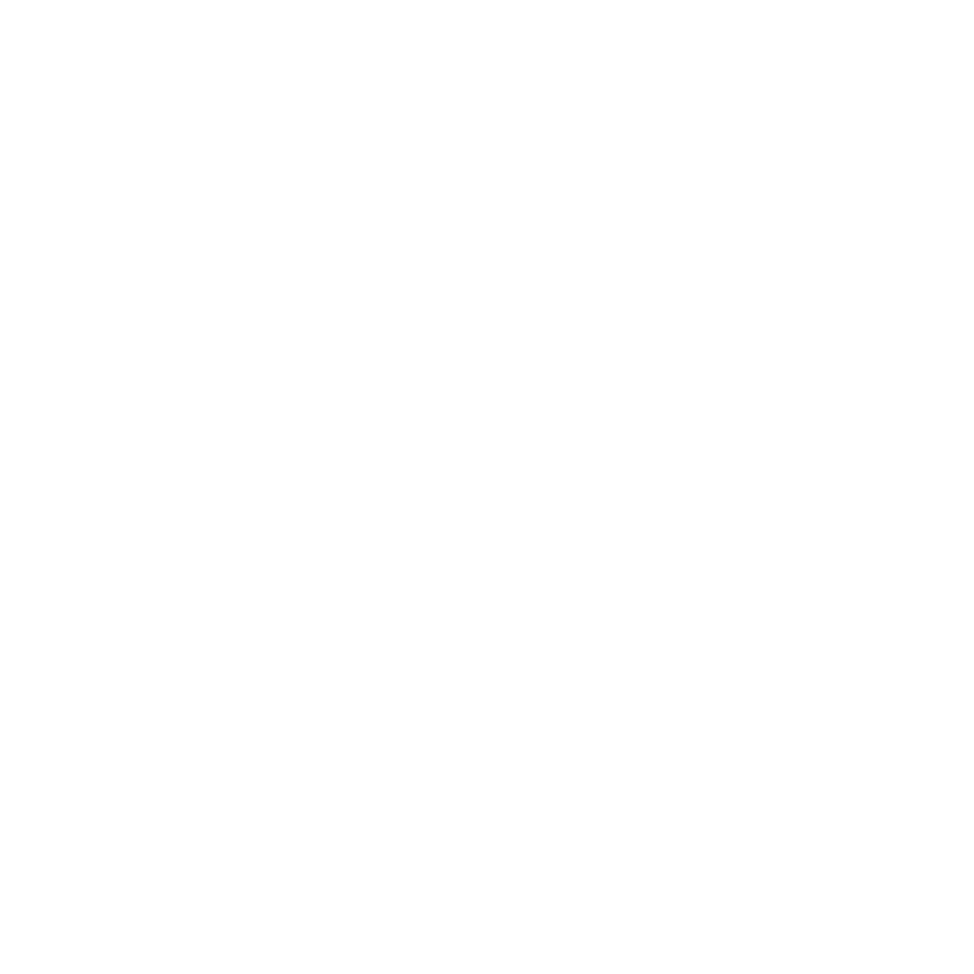 BirSens