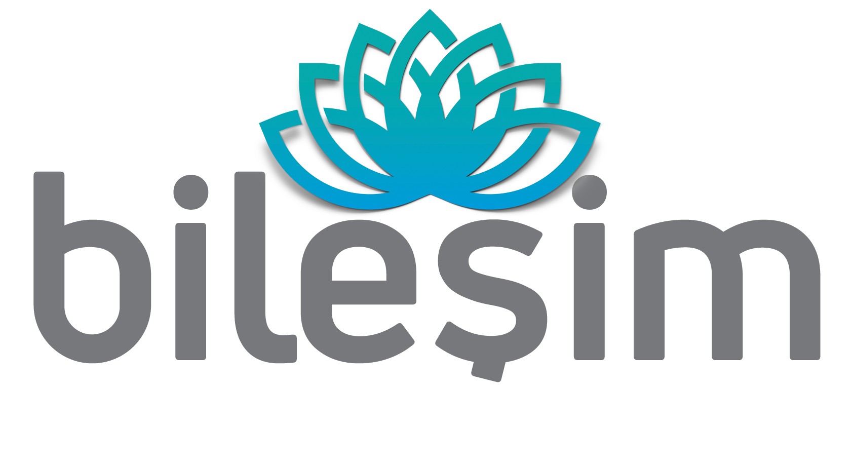 bilesim