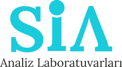 sia analiz