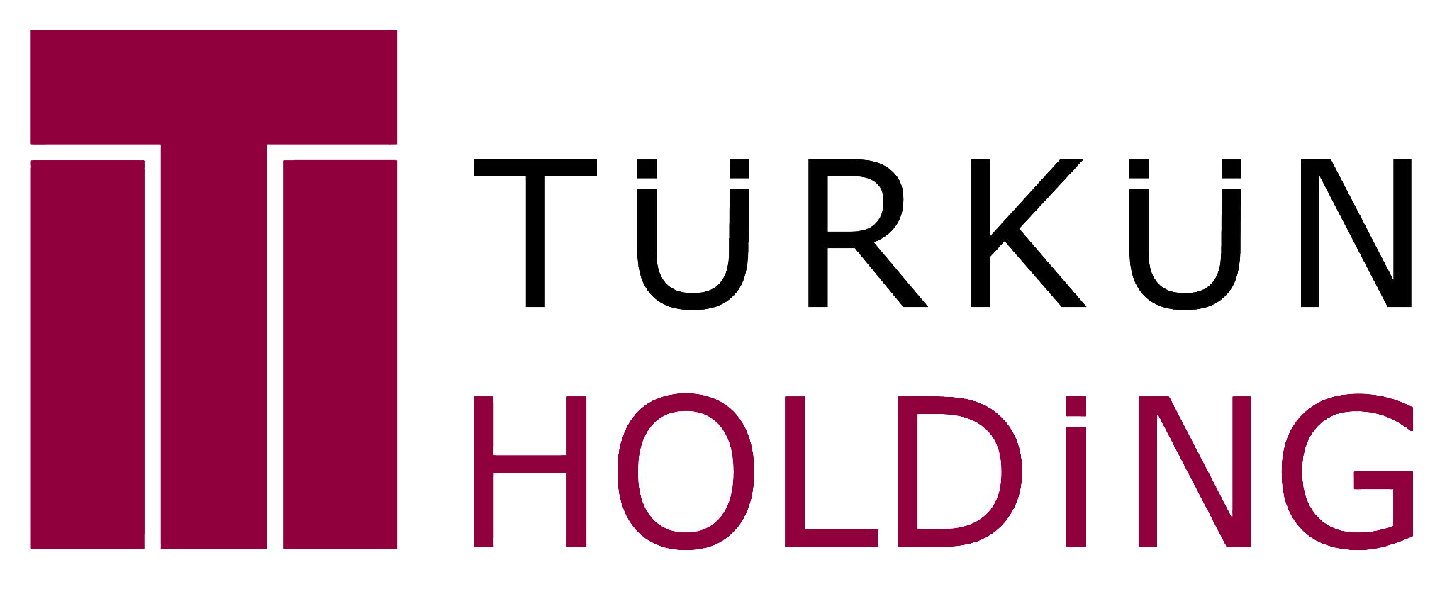 turkun-logo_4